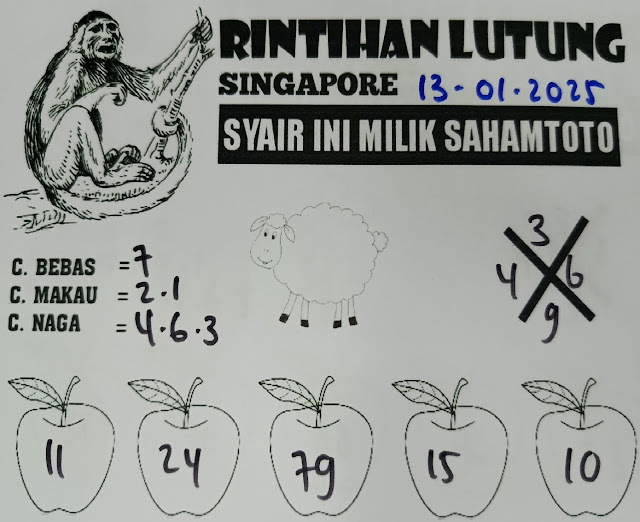SYAIR SGP VIP